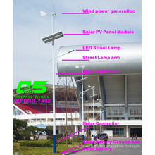 WPSRR-7402 3~15m Municipal Road Hot DIP Galvanized Steet Light Pole style